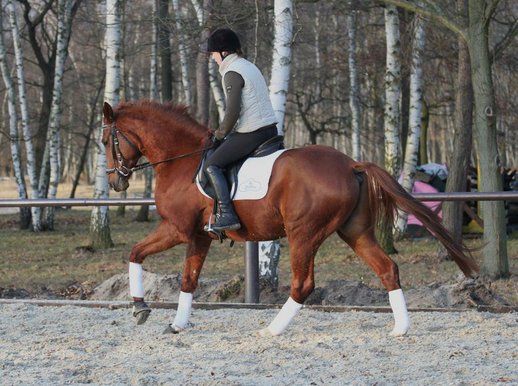 Florin Dezember 2012