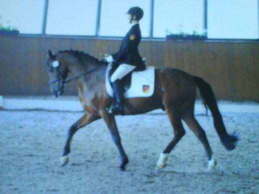 Dressurprüfung Klasse L   2. Platz  